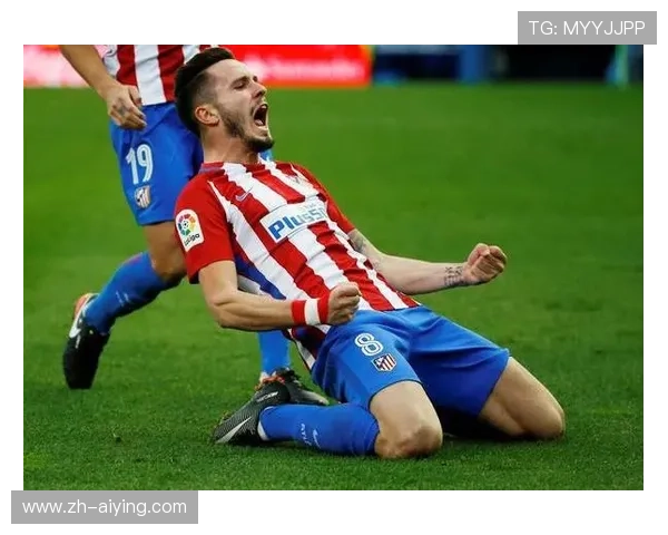 海德体育网站app功能介绍与使用技巧，助您轻松掌握体育资讯与赛事直播